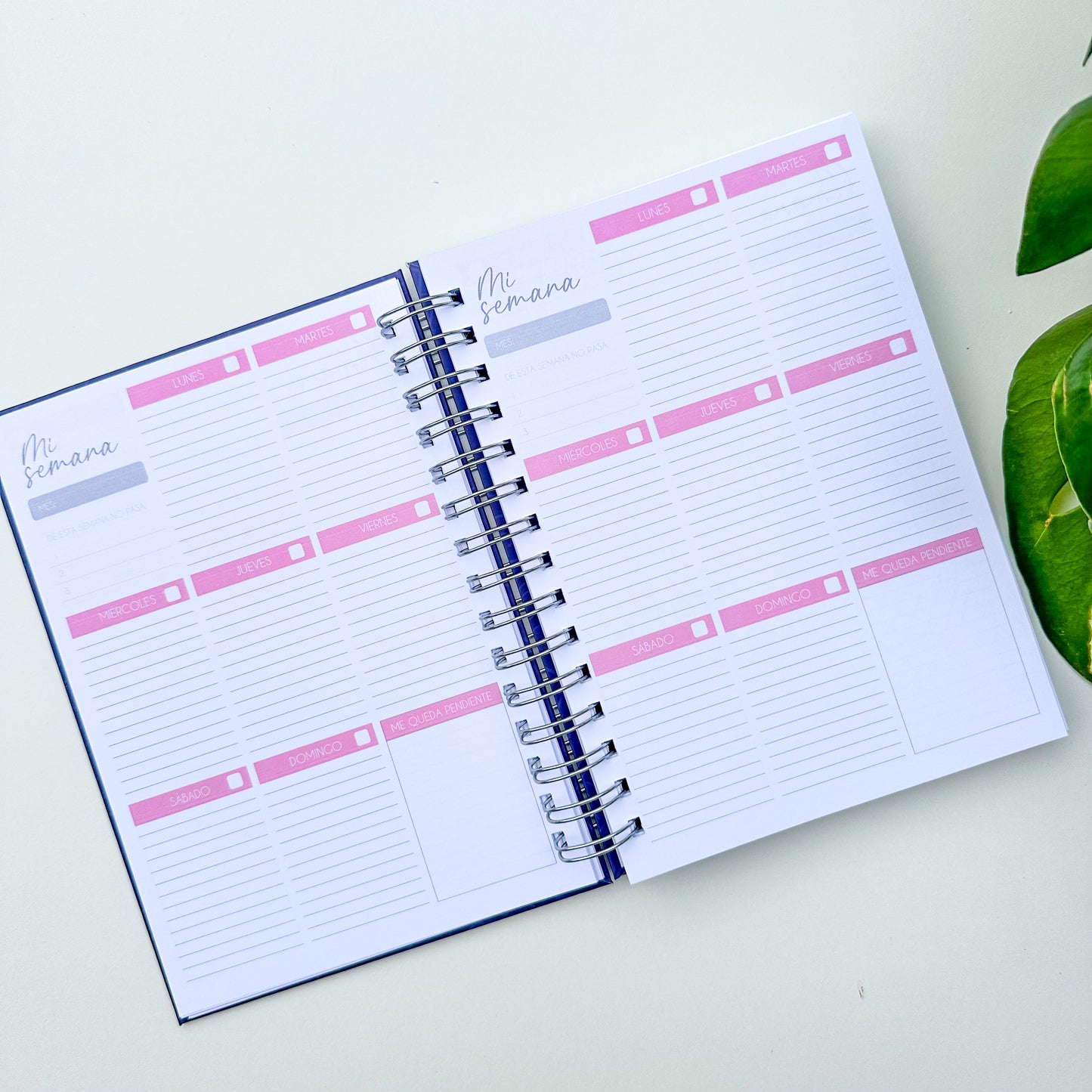 Nuevo planner universitario