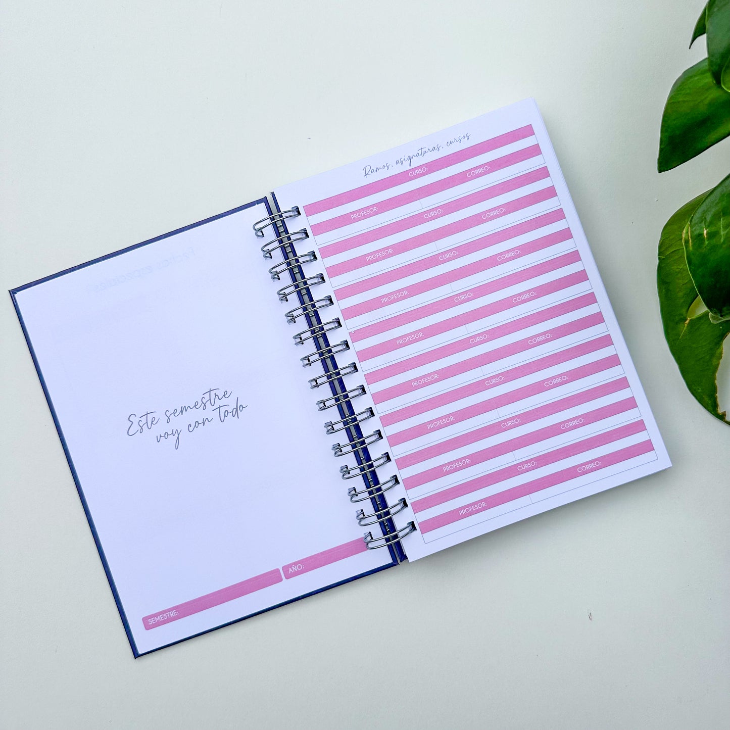 Nuevo planner universitario