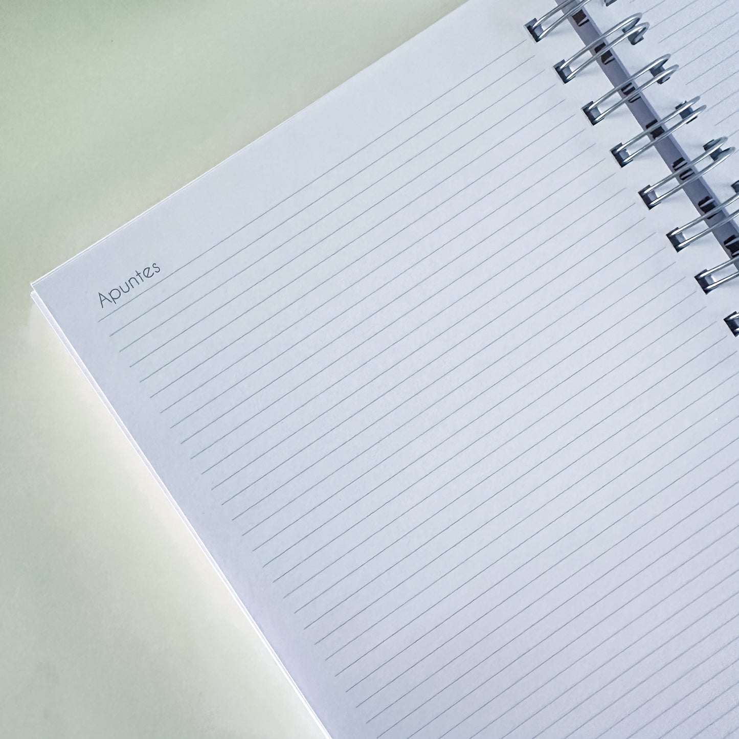 Nuevo planner diario