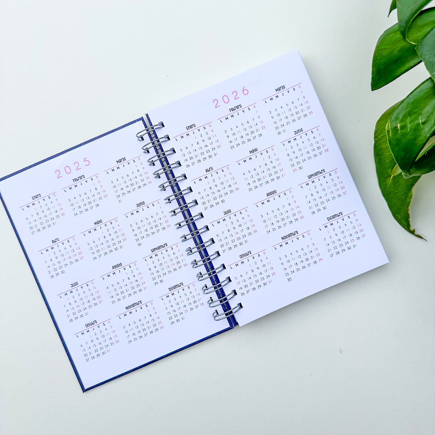 Nuevo planner universitario