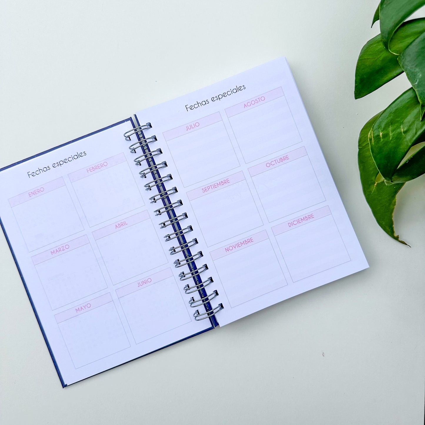 Nuevo planner universitario