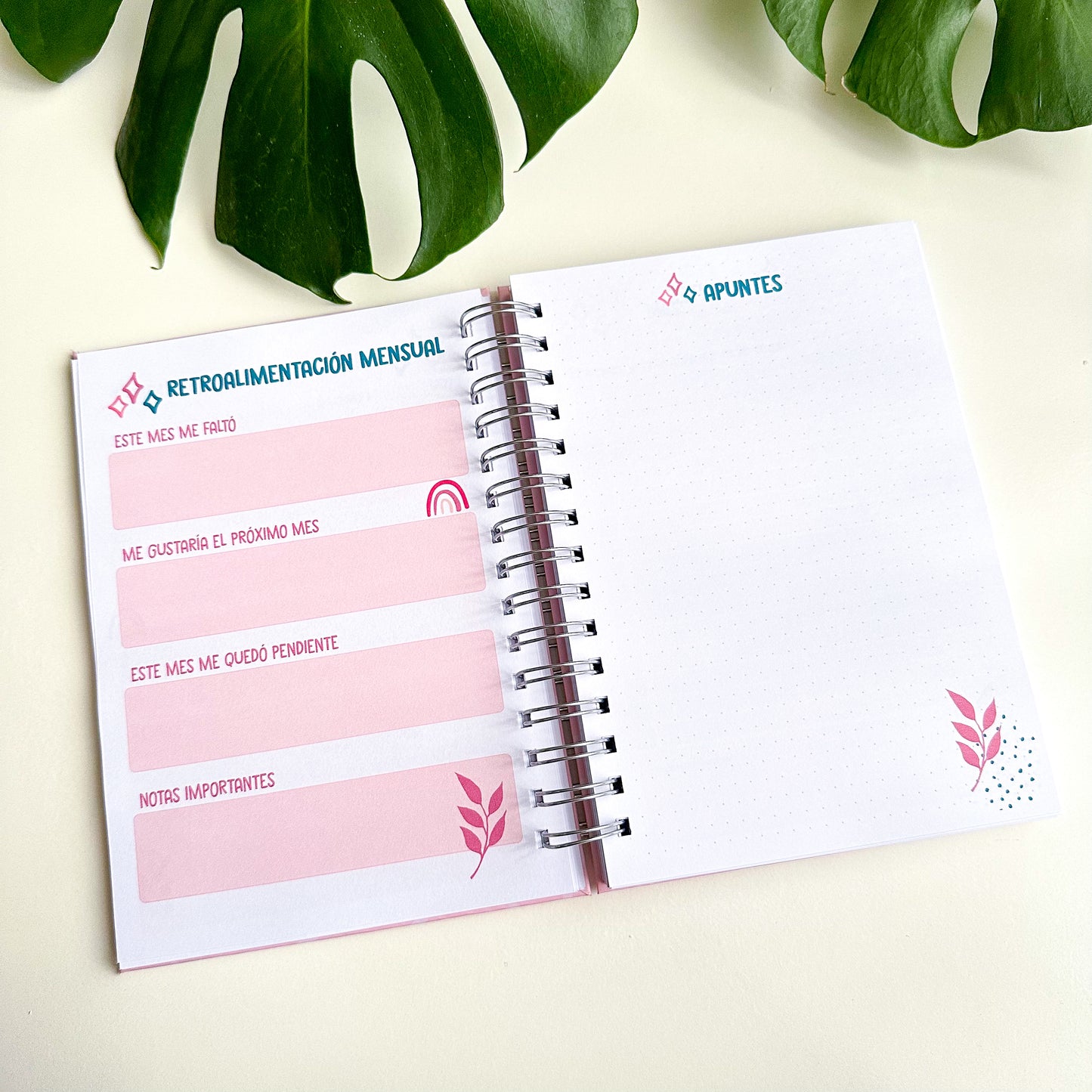 Planner universitario