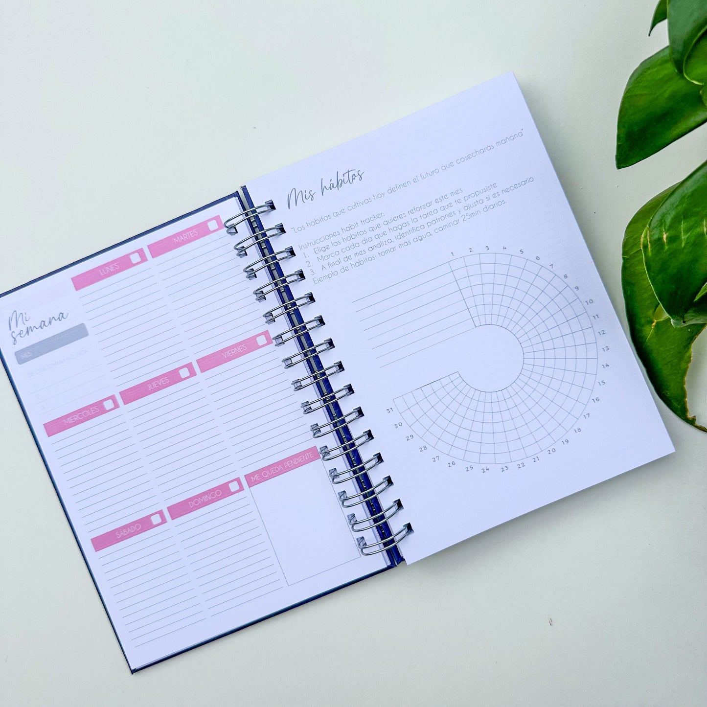 Nuevo planner universitario