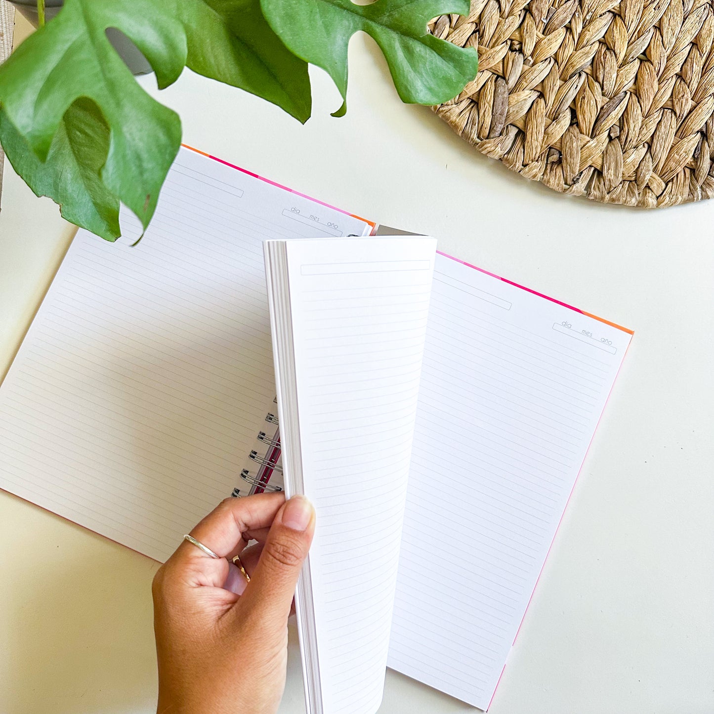 Agenda 2026 Carliversión