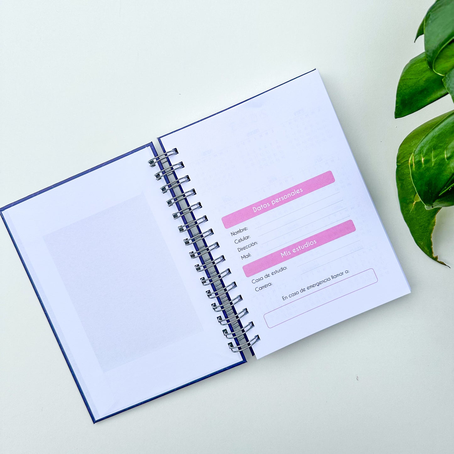 Nuevo planner universitario