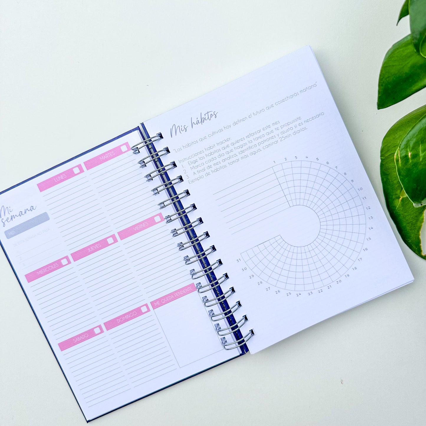 Nuevo planner universitario