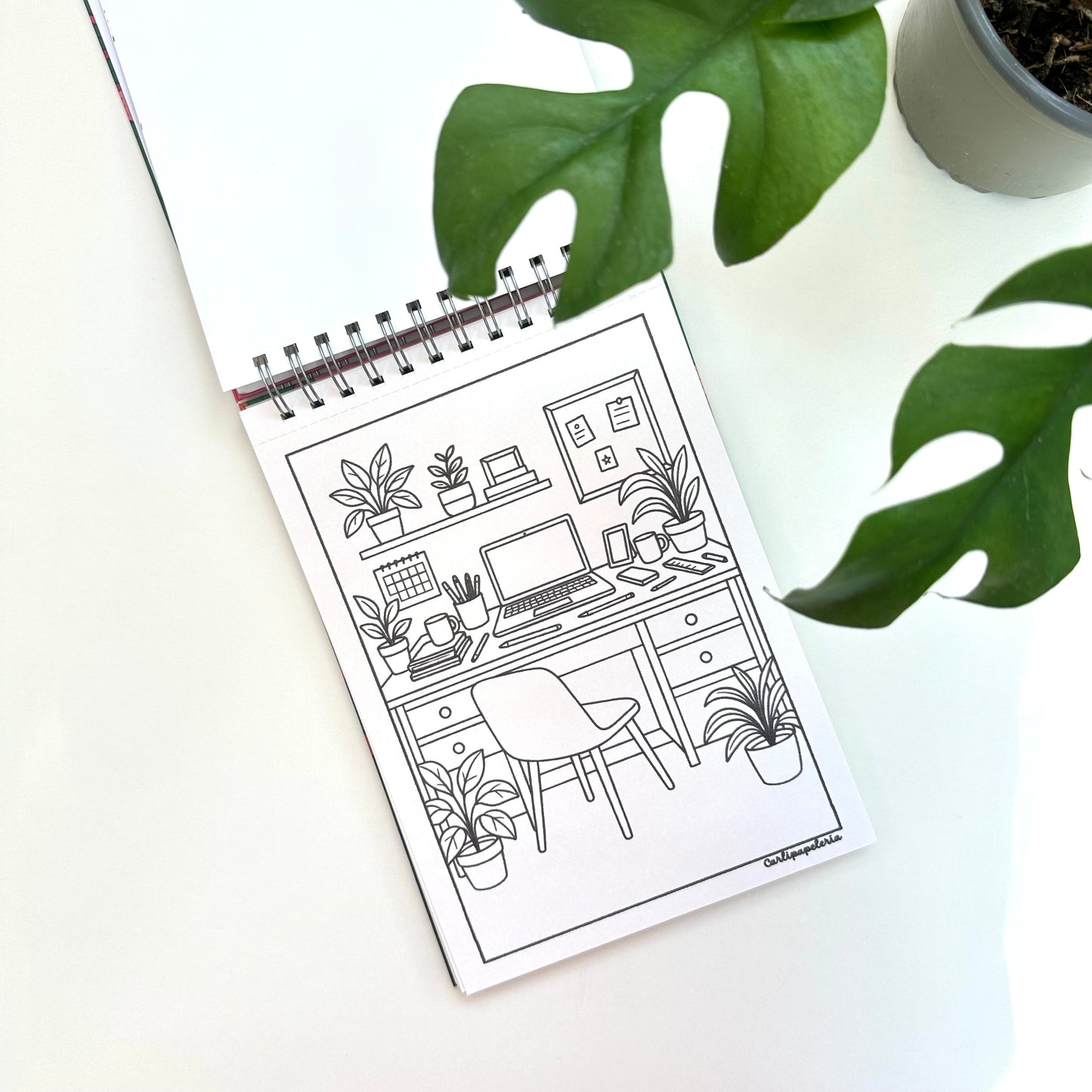 Con Calma coloring book