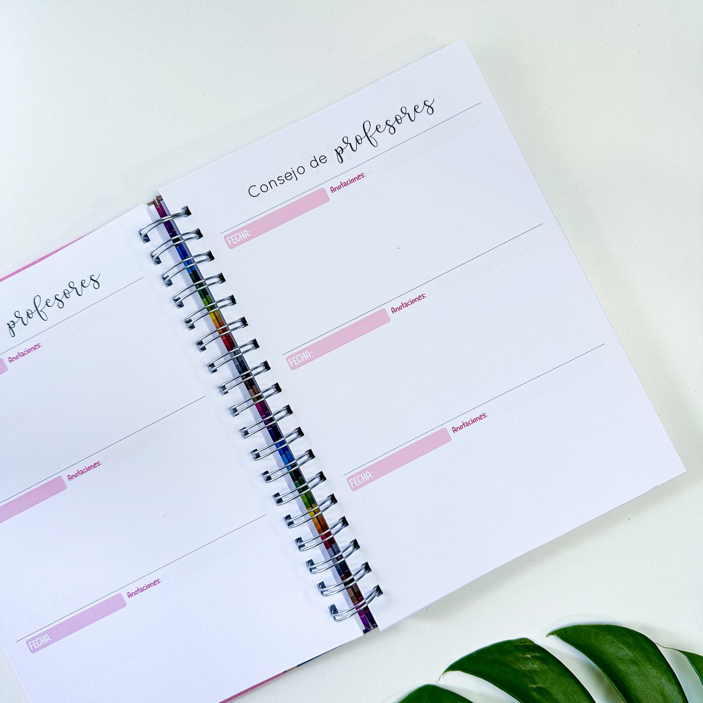 Planner docente