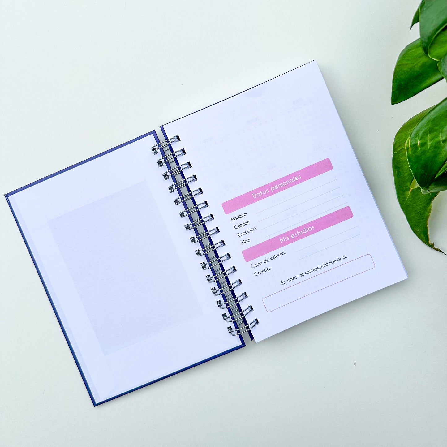Nuevo planner universitario