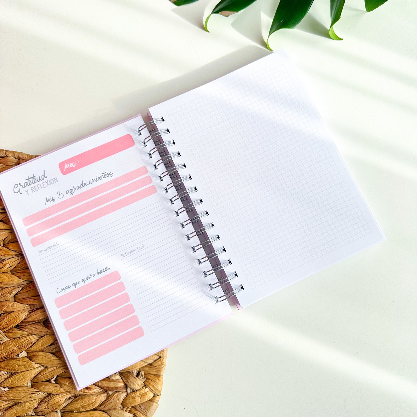Planner 12 meses