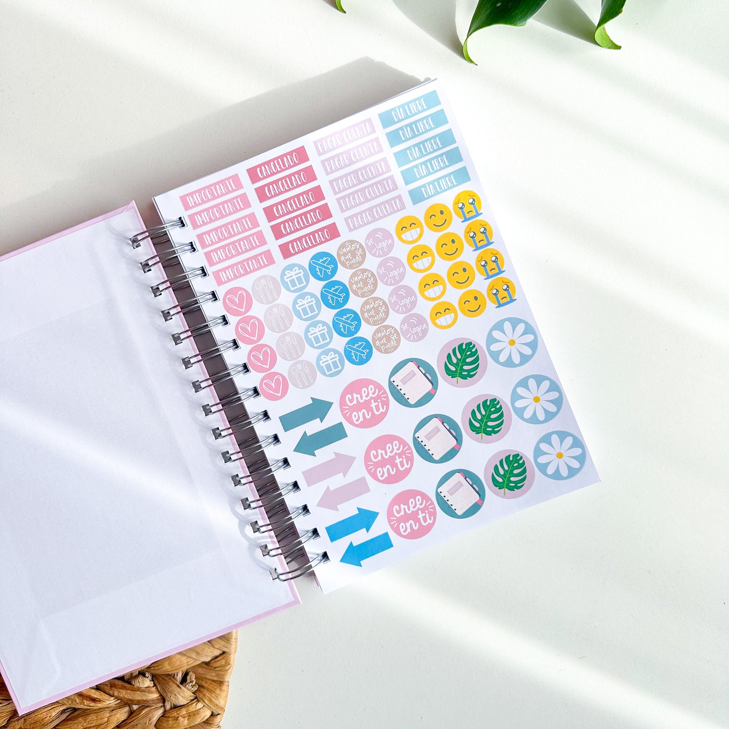 Planner 12 meses