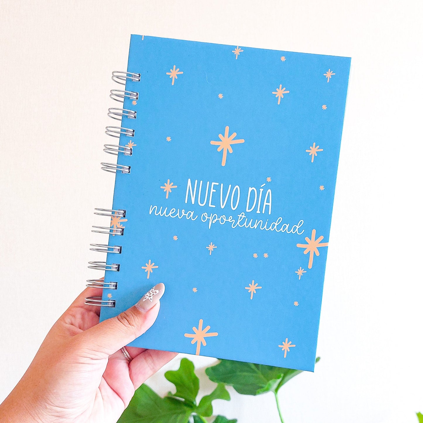Planner diario