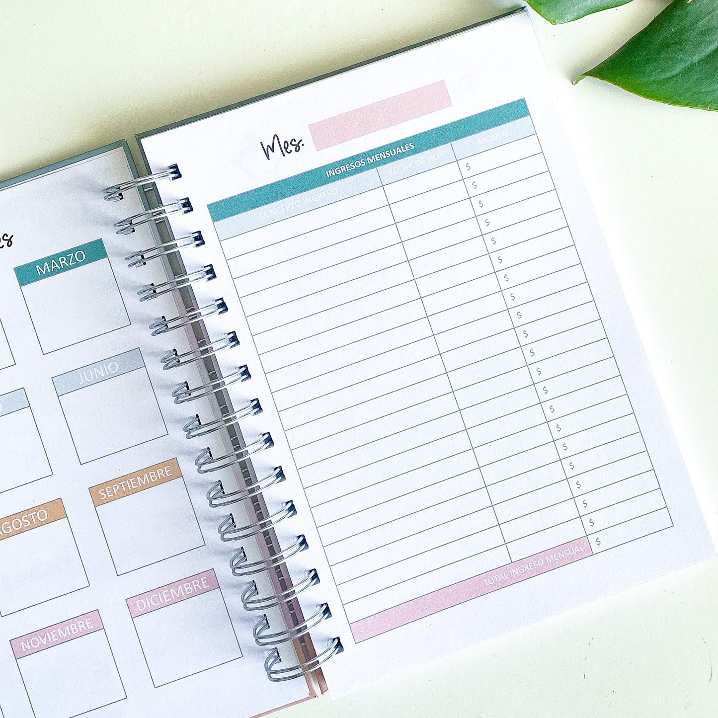 Planner gastos y ahorro