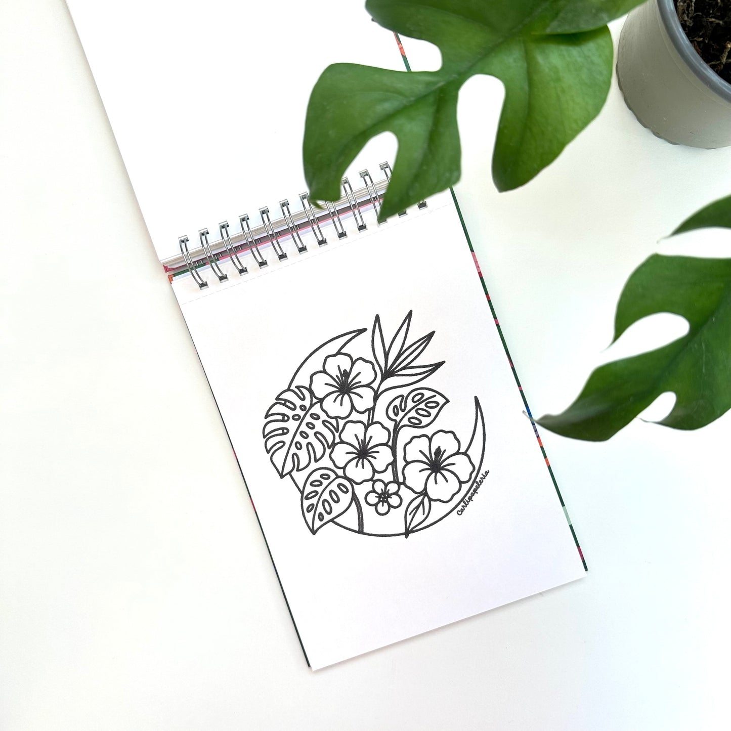 Con Calma coloring book