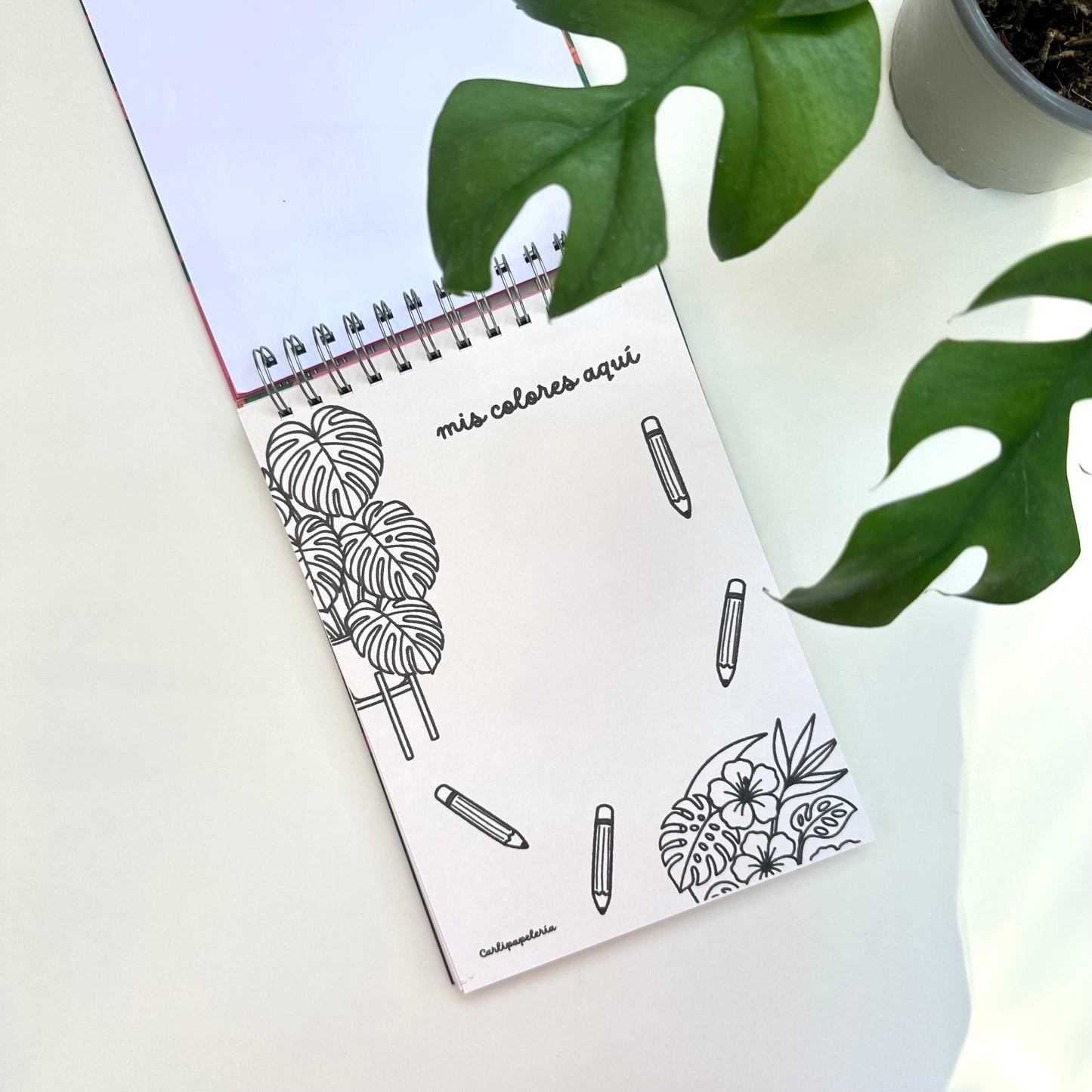 Con Calma coloring book