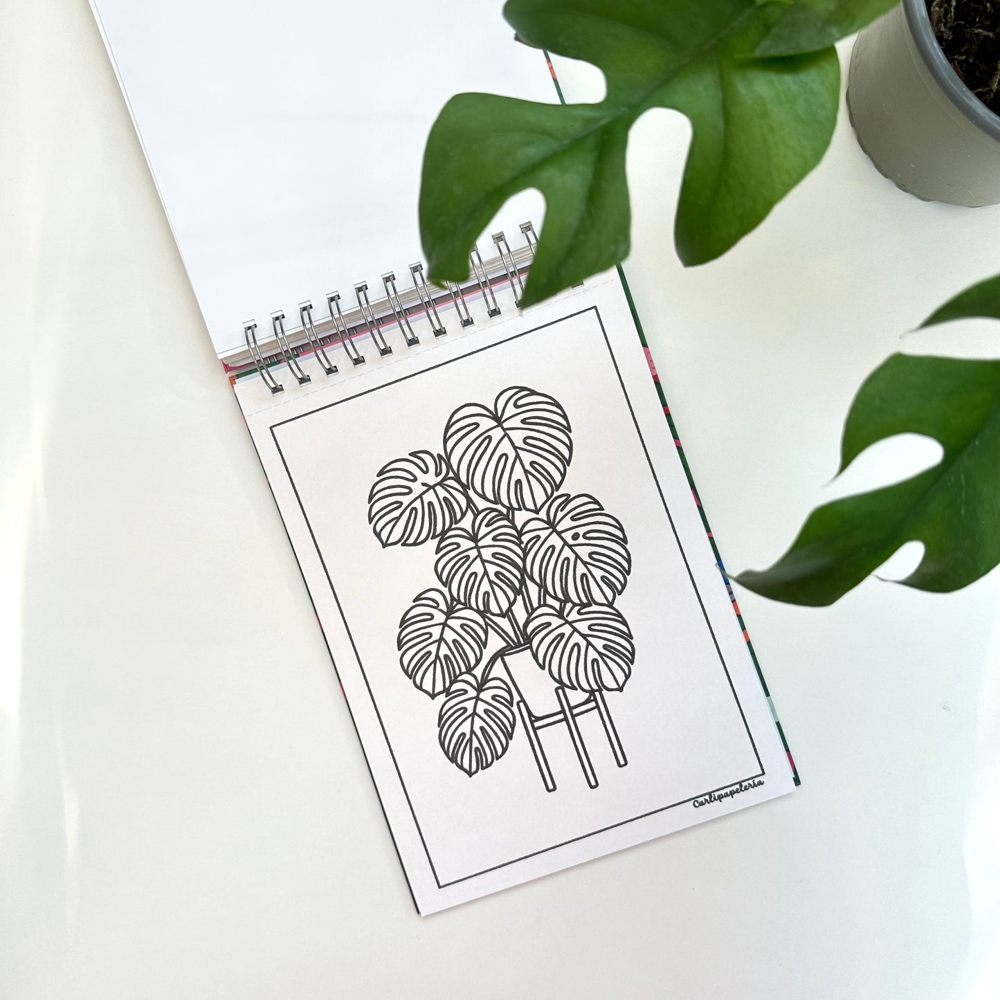 Con Calma coloring book