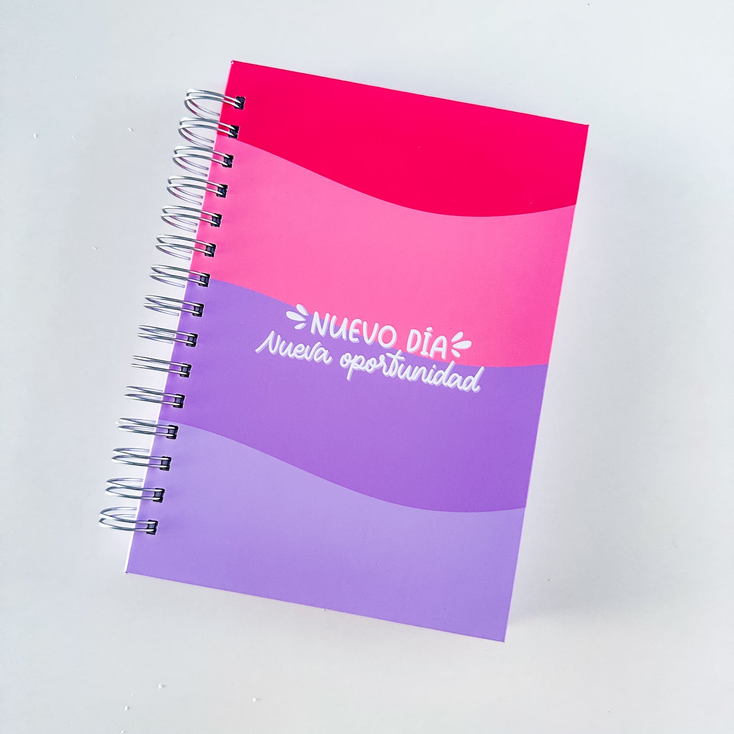 Nuevo planner diario