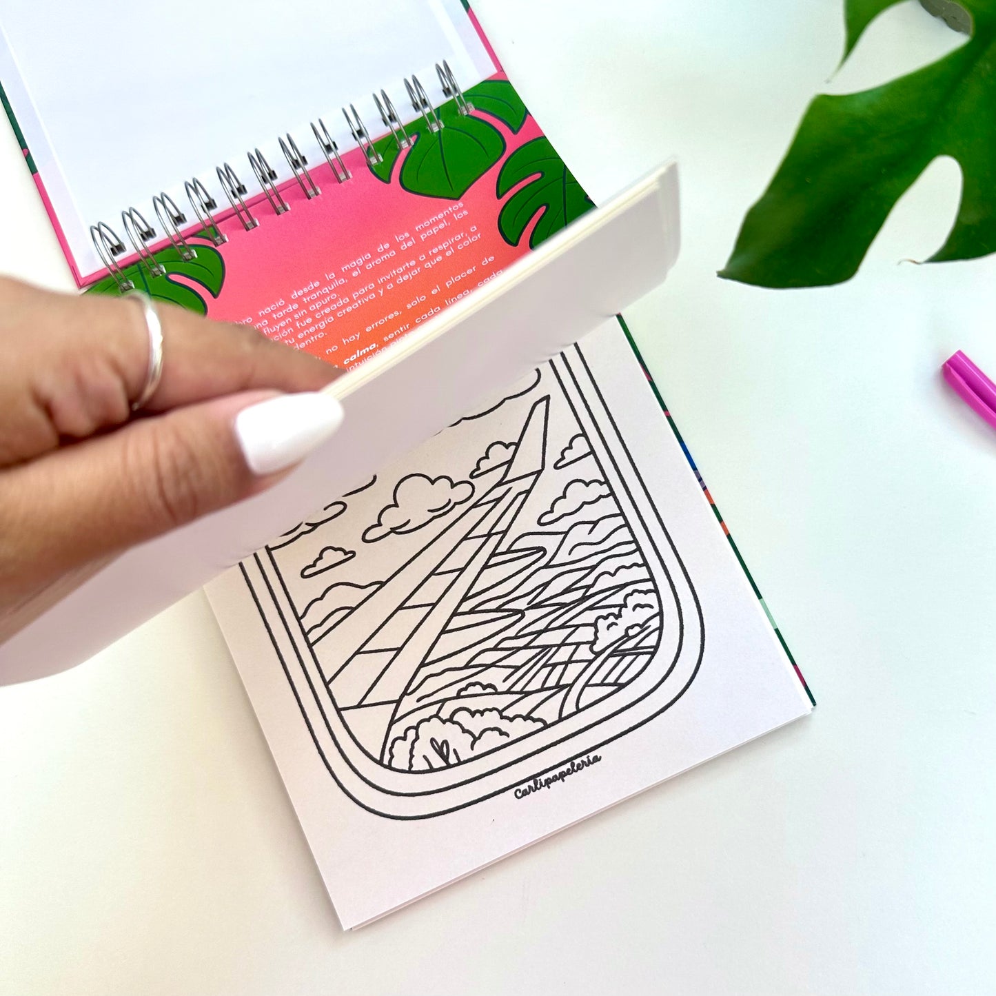 Con Calma coloring book