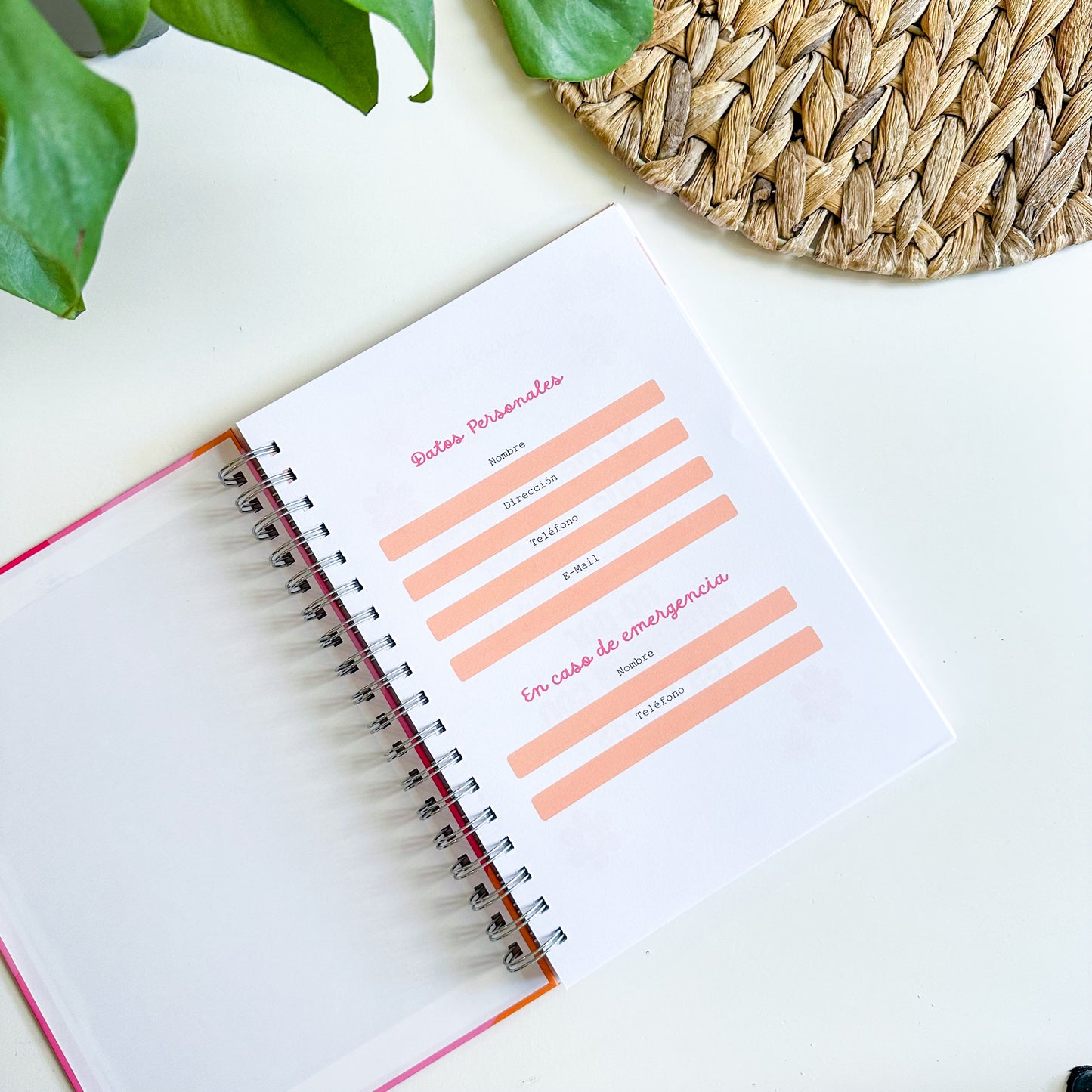 Agenda 2026 Carliversión