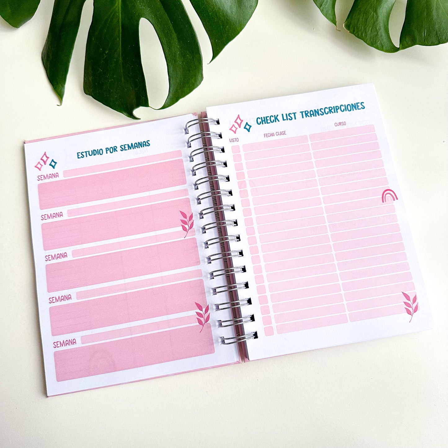 Planner universitario