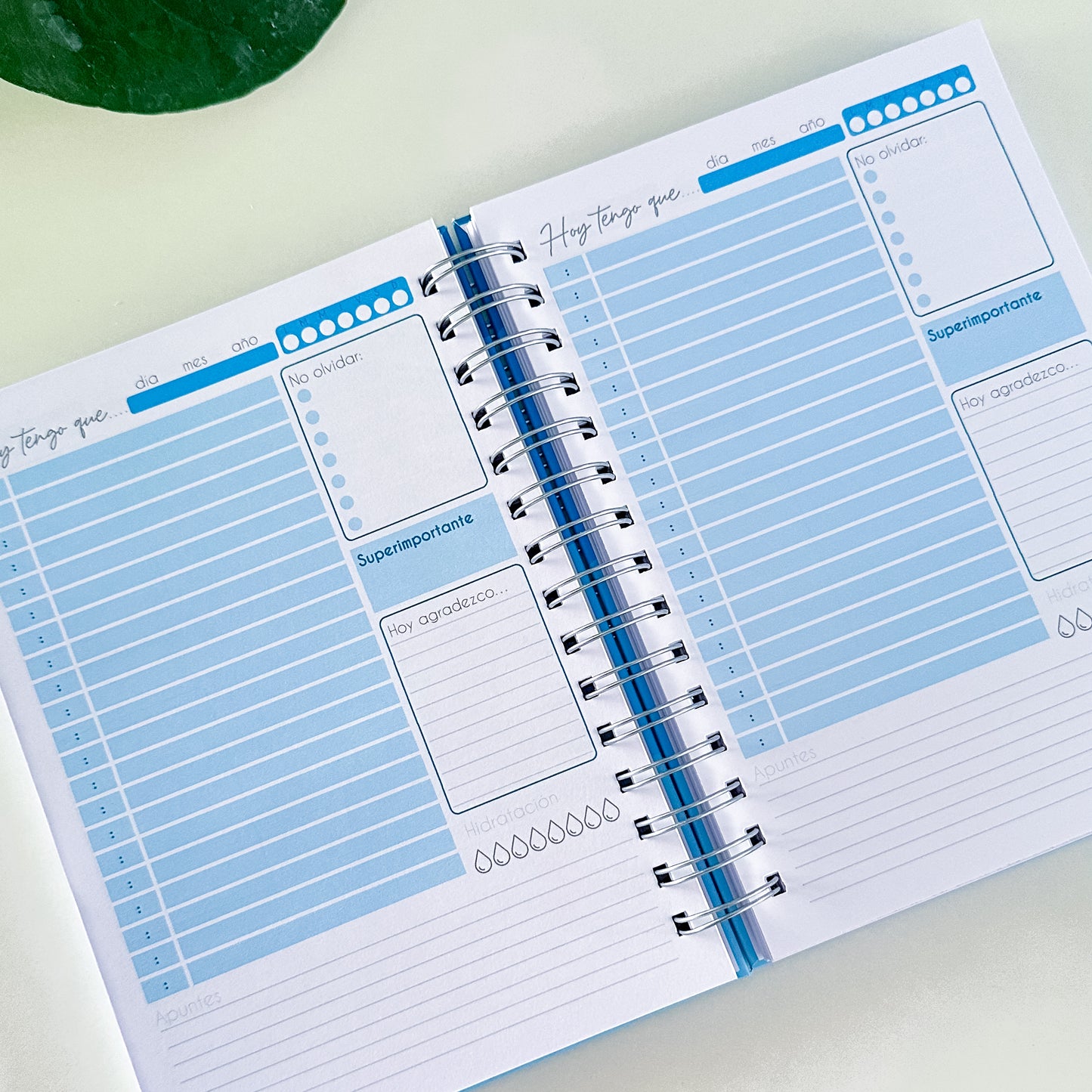 Nuevo planner diario