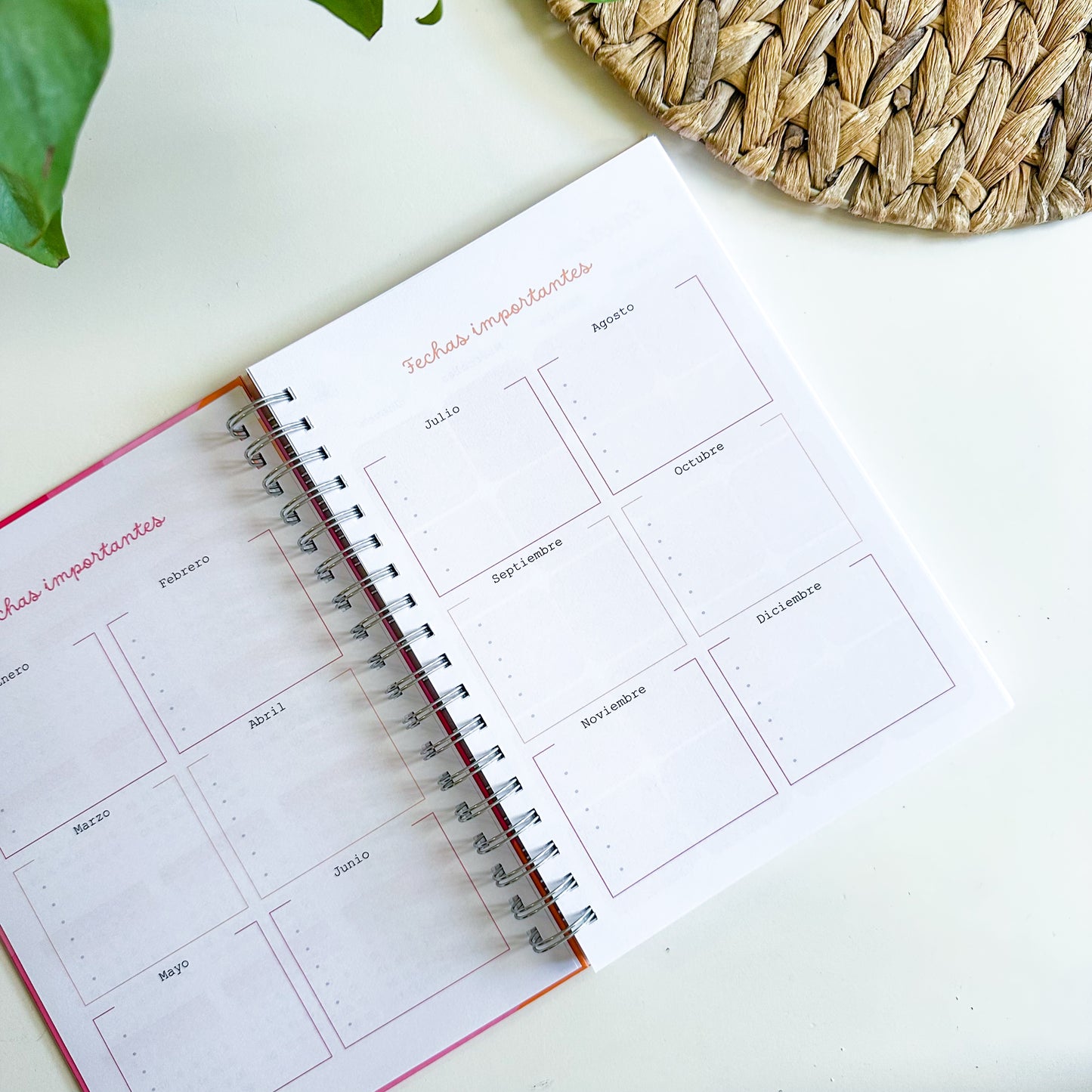 Agenda 2026 Carliversión