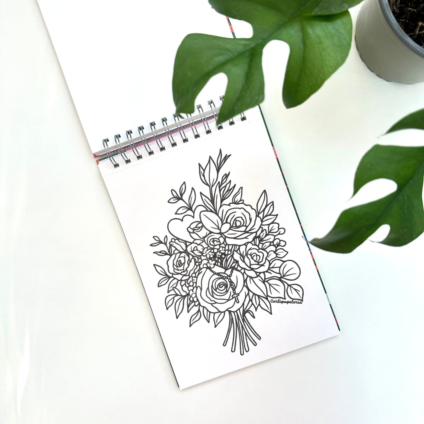 Con Calma coloring book