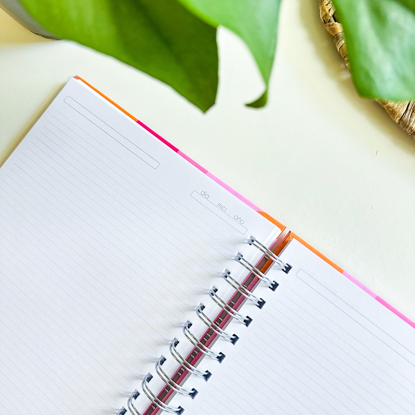 Agenda 2026 Carliversión