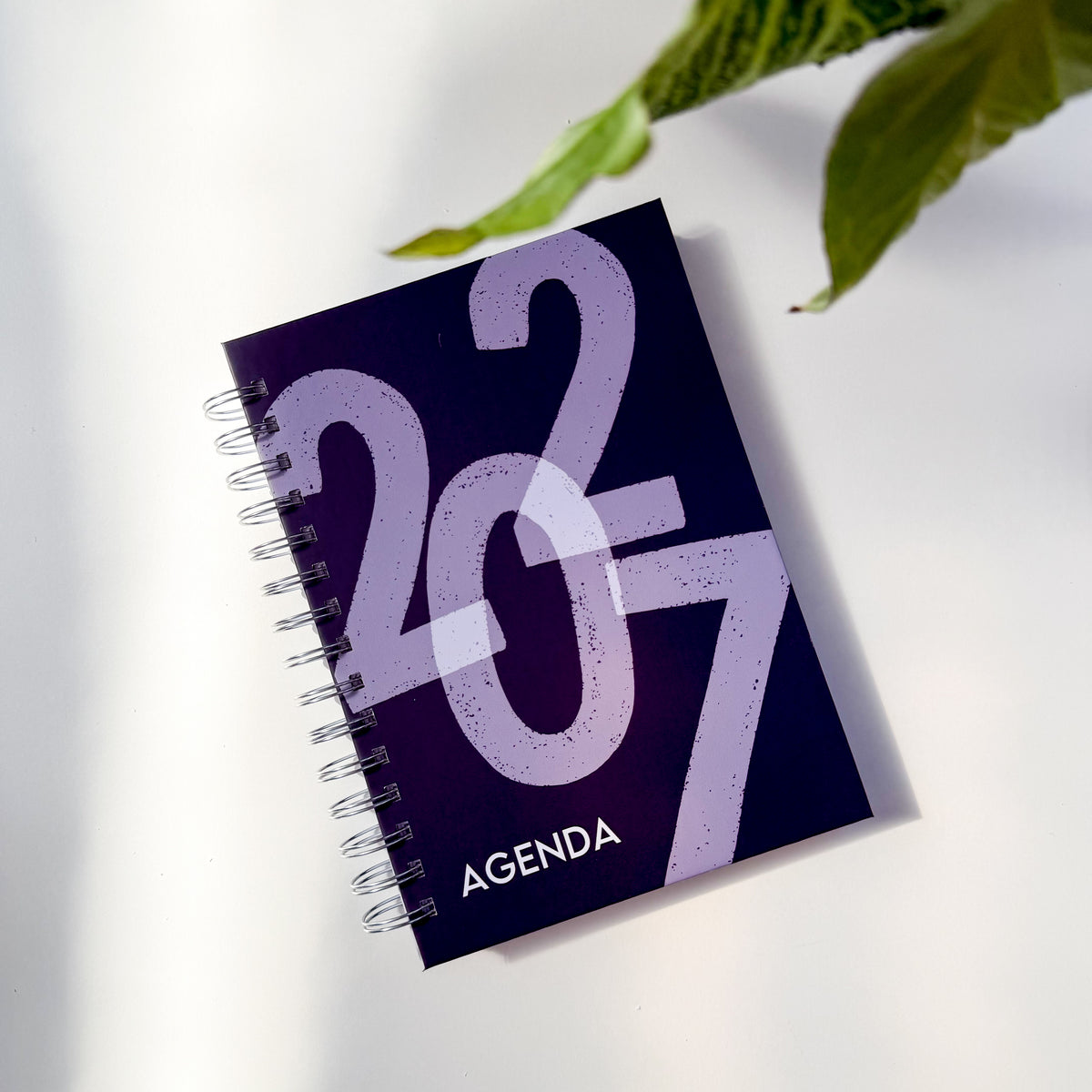 Agenda 2027
