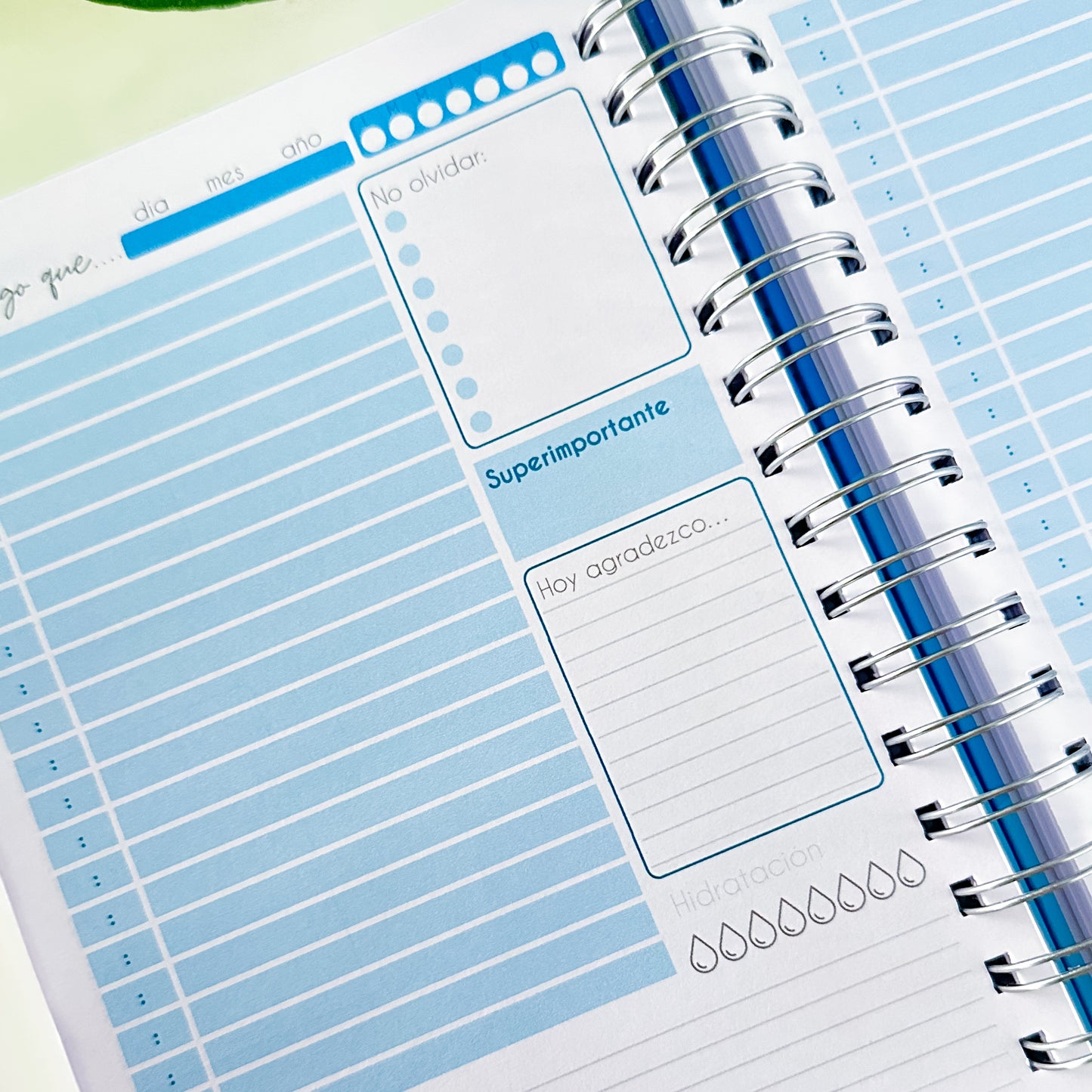 Nuevo planner diario