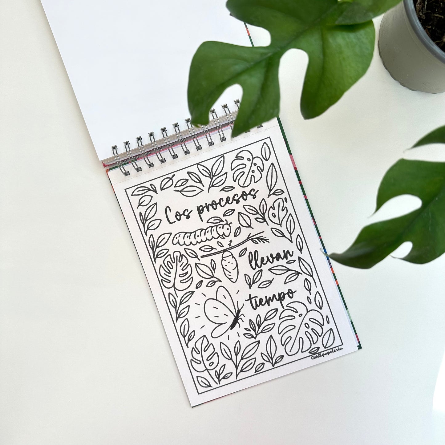 Con Calma coloring book