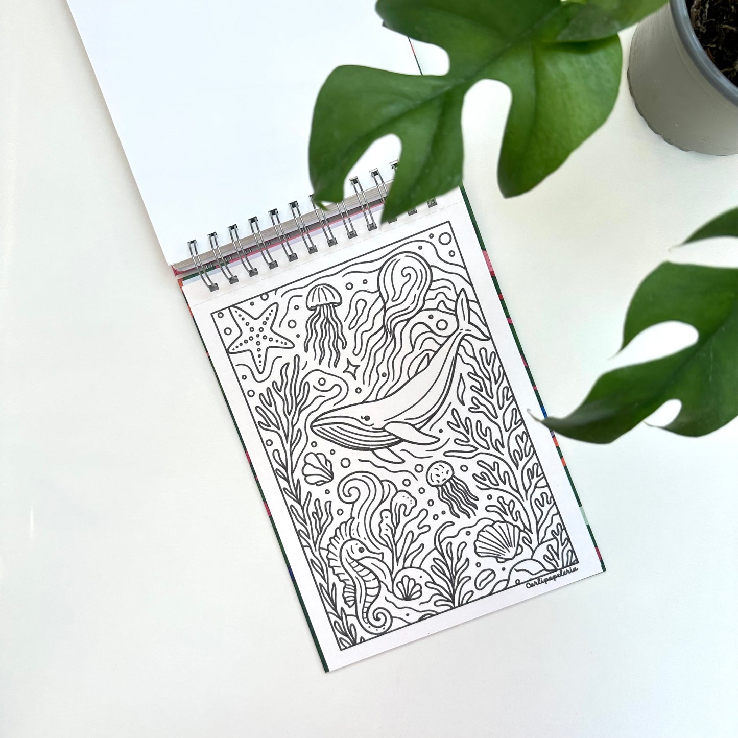 Con Calma coloring book