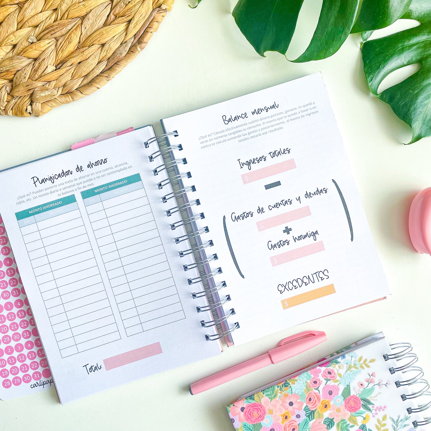 Planner gastos y ahorro