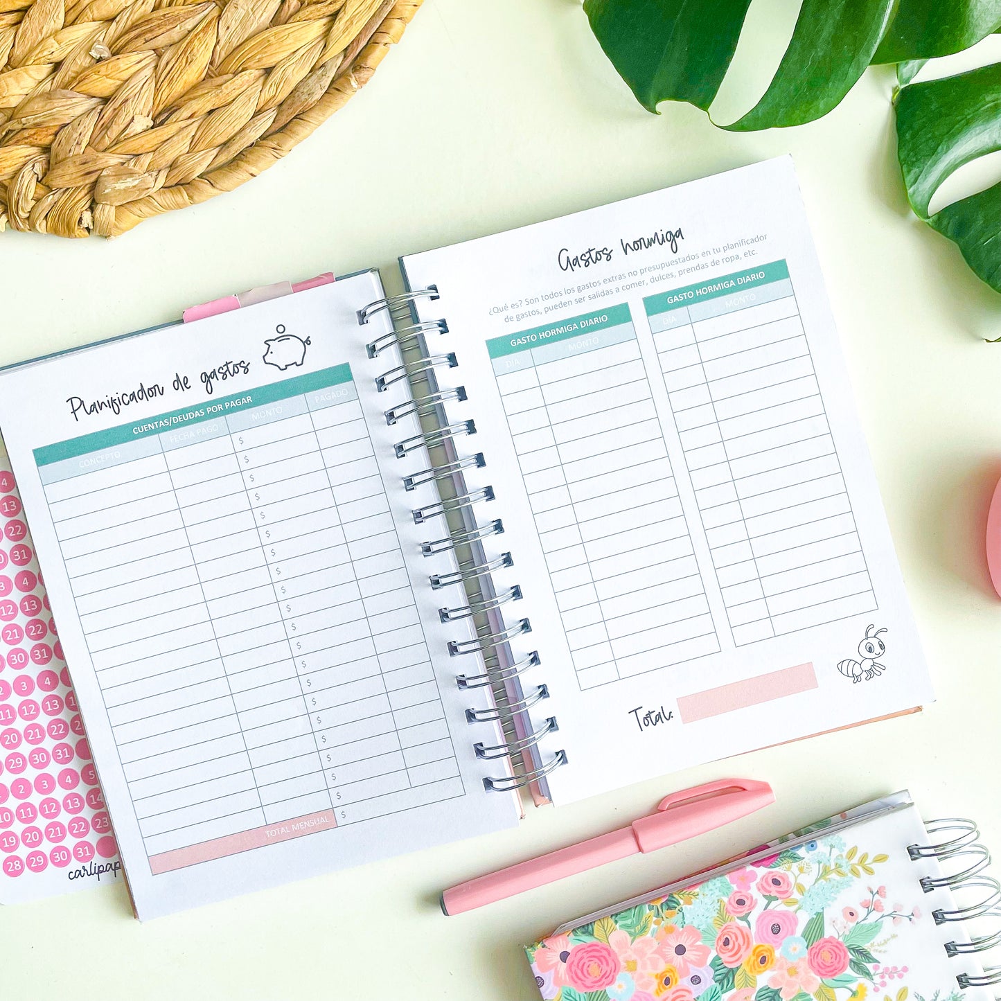 Planner gastos y ahorro